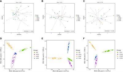 Probiotics or synbiotics addition to sows’ diets alters colonic microbiome composition and metabolome profiles of offspring pigs